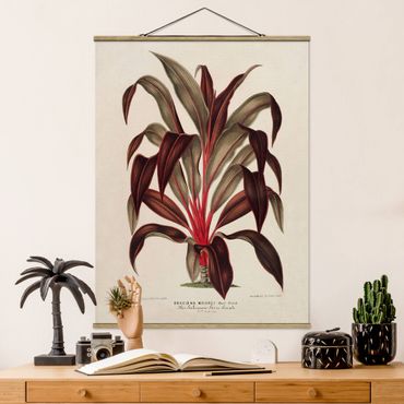Tableau en tissu avec porte-affiche - Botany Vintage Illustration Of Dragon Tree