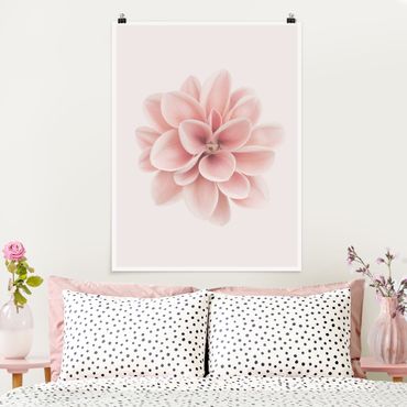 Poster - Dahlia Pink Pastel Flower Centered