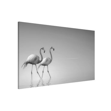 Tableau magnétique - Flamingo Love Black And White