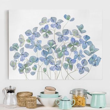Impression sur toile - Blue Hydrangea Flowers