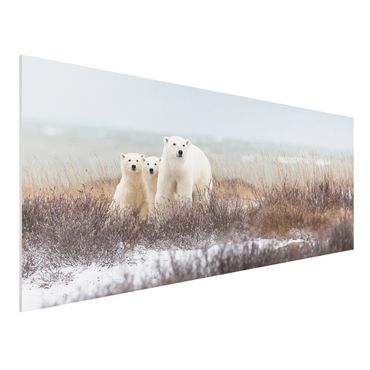 Tableau en forex - Polar Bear And Her Cubs