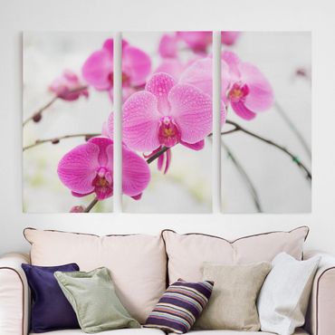 Impression sur toile 3 parties - Close-Up Orchid