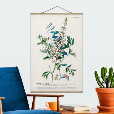 Tableau en tissu avec porte-affiche - Vintage Botanical Illustration Legumes