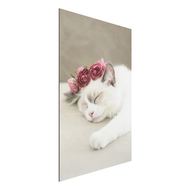 Tableau sur aluminium - Sleeping Cat with Roses