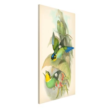 Tableau magnétique - Vintage Illustration Tropical Birds