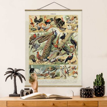 Tableau en tissu avec porte-affiche - Vintage Board European Birds