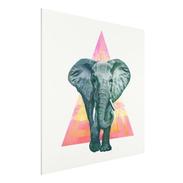 Impression sur forex - Illustration Elephant Front Triangle Painting