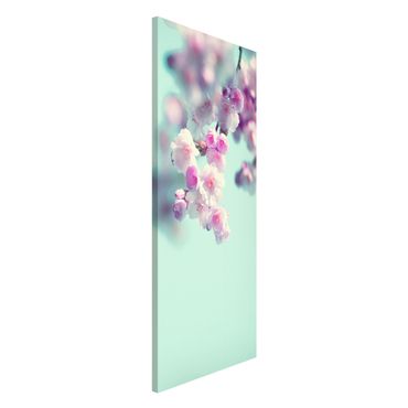 Tableau magnétique - Colourful Cherry Blossoms