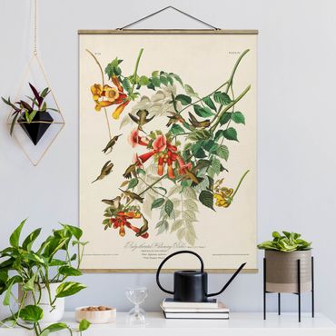 Tableau en tissu avec porte-affiche - Vintage Board Hummingbirds