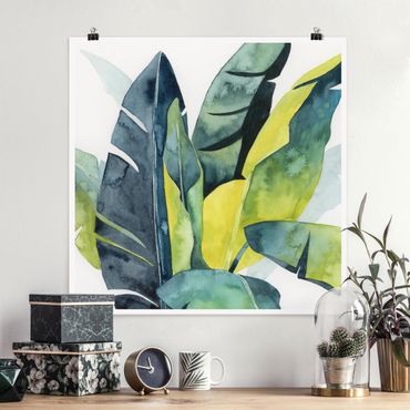 Poster - Tropical Foliage - Banana
