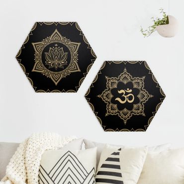 Hexagone en alu Dibond - Lotus OM Illustration Set Black
