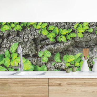 Revêtement mural cuisine - Ivy Tendrils Tree Bark