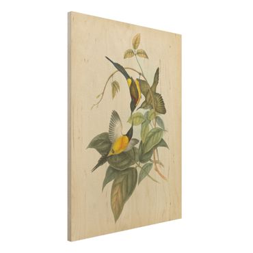 Impression sur bois - Vintage Illustration Tropical Birds IV