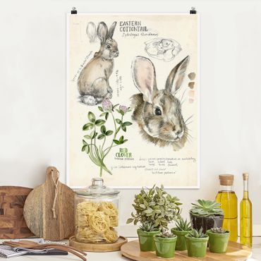 Poster fleurs - Wilderness Journal - Rabbit