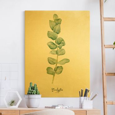 Tableau sur toile or - Watercolour Botany Eucalyptus