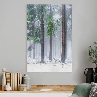 Impression sur toile - Conifers In Winter