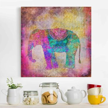 Impression sur toile - Colourful Collage - Indian Elephant