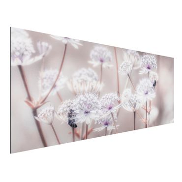 Tableau sur aluminium - Wild Flowers Light As A Feather
