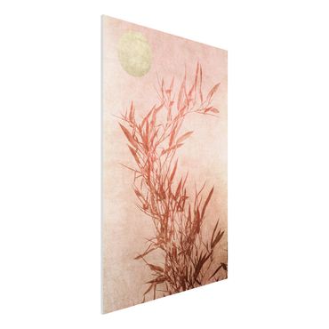 Impression sur forex - Golden Sun Pink Bamboo