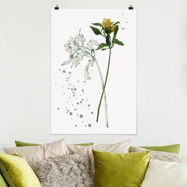 Poster fleurs - Botanical Watercolour - Lily
