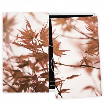 Cache plaques de cuisson - Maple Leaf In Autumn Sun