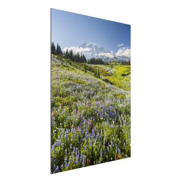 Tableau sur aluminium - Mountain Meadow With Red Flowers in Front of Mt. Rainier