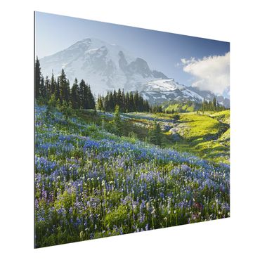 Tableau sur aluminium - Mountain Meadow With Blue Flowers in Front of Mt. Rainier