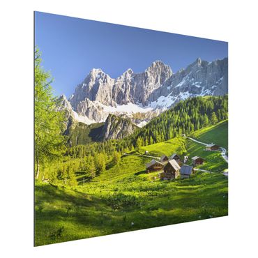 Tableau sur aluminium - Styria Alpine Meadow