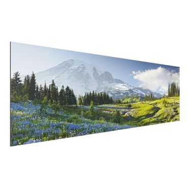 Tableau sur aluminium - Mountain Meadow With Blue Flowers in Front of Mt. Rainier