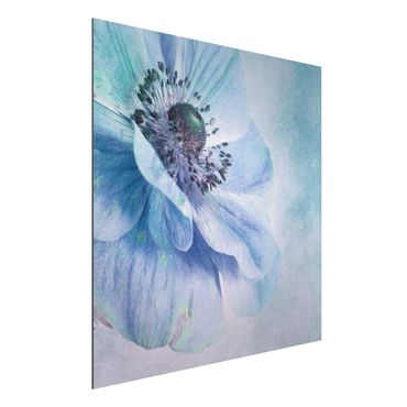 Tableau sur aluminium - Flower In Turquoise