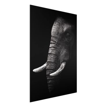 Tableau sur aluminium - Dark Elephant Portrait