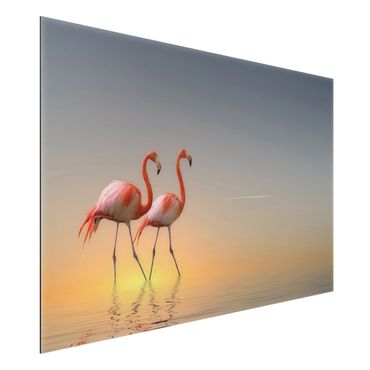 Tableau sur aluminium - Flamingo Love