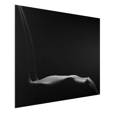 Tableau sur aluminium - Nude in the Dark