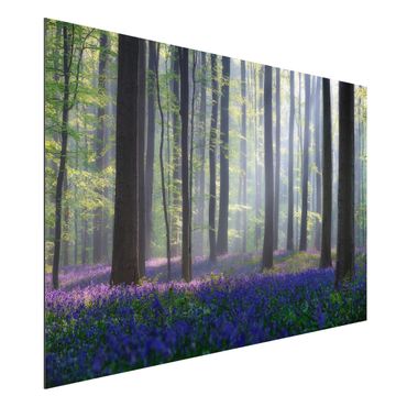 Tableau sur aluminium - Spring Day In The Forest