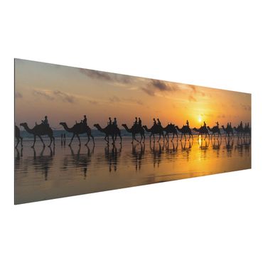 Tableau sur aluminium - Camels in the sunset