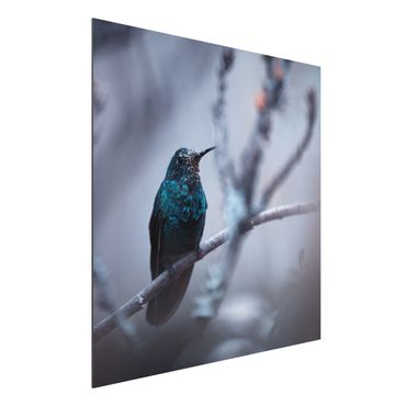 Tableau sur aluminium - Hummingbird In Winter