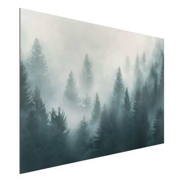 Tableau sur aluminium - Coniferous Forest In Fog