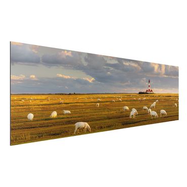Tableau sur aluminium - North Sea Lighthouse With Flock Of Sheep
