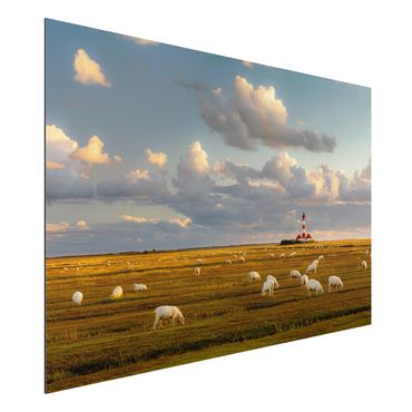 Tableau sur aluminium - North Sea Lighthouse With Flock Of Sheep