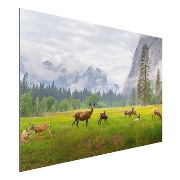 Tableau sur aluminium - Deer In The Mountains