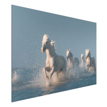 Tableau sur aluminium - Herd Of White Horses