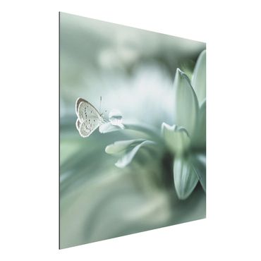 Tableau sur aluminium - Butterfly And Dew Drops In Pastel Green