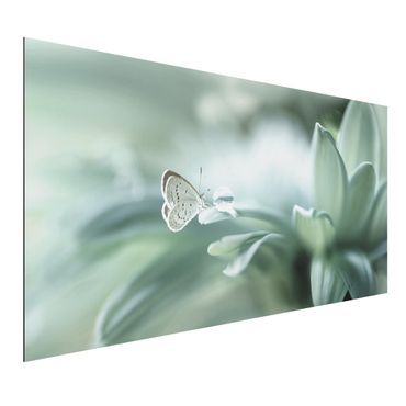 Tableau sur aluminium - Butterfly And Dew Drops In Pastel Green