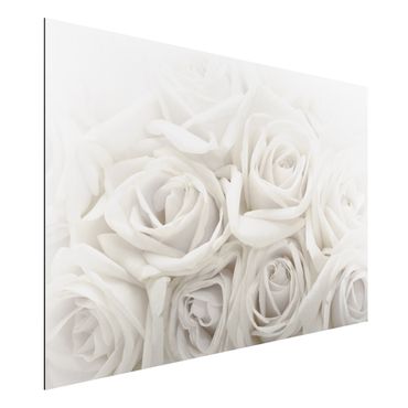 Tableau sur aluminium - White Roses