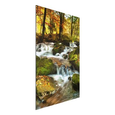 Tableau sur aluminium - Waterfall Autumnal Forest