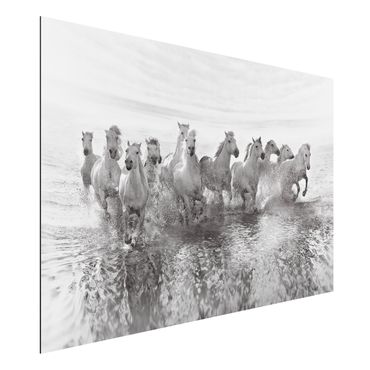 Tableau sur aluminium - White Horses In The Ocean
