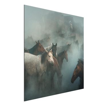 Tableau sur aluminium - Wild Horses
