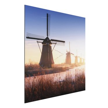 Tableau sur aluminium - Windmills Of Kinderdijk