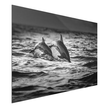 Tableau sur aluminium - Two Jumping Dolphins
