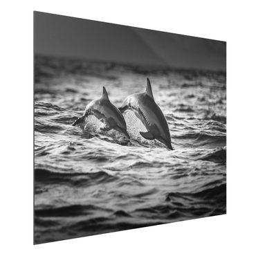 Tableau sur aluminium - Two Jumping Dolphins
